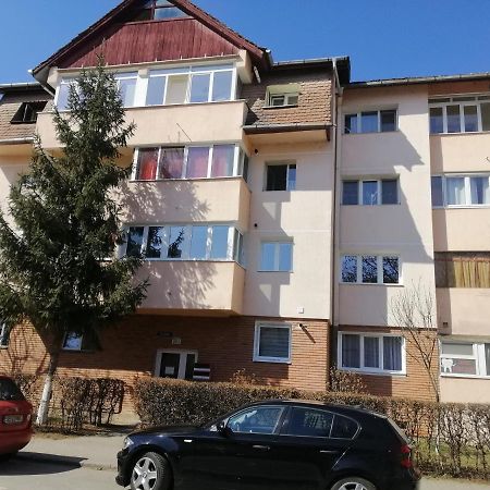 Studio Acasa Nagyszeben Kültér fotó