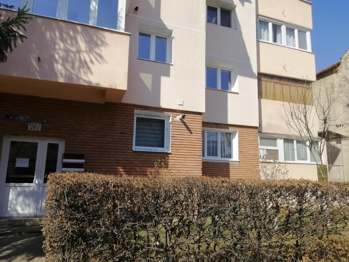 Studio Acasa Nagyszeben Kültér fotó